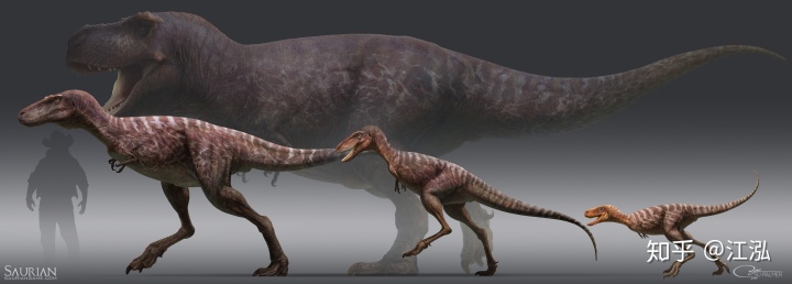 ������һ����Ϊ21���׶Σ��������������������׶���ΪҪ����