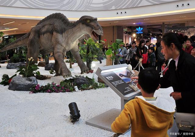 ΰ�ײ�����