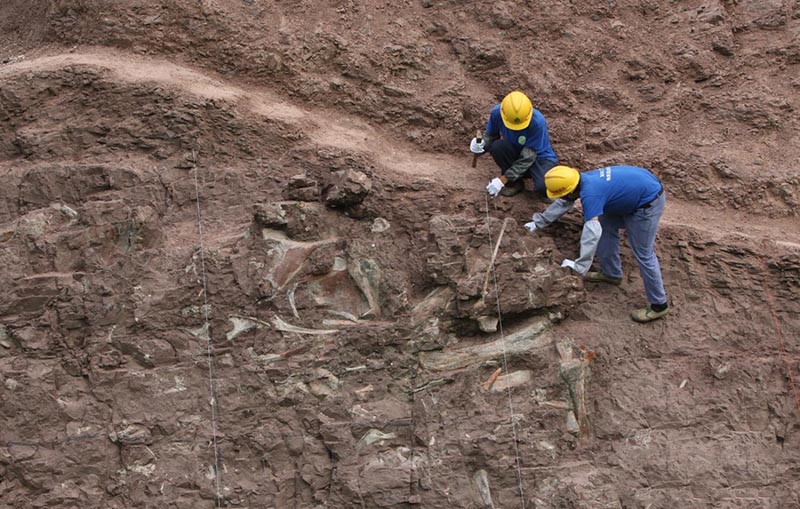 ΰ�ײ�����