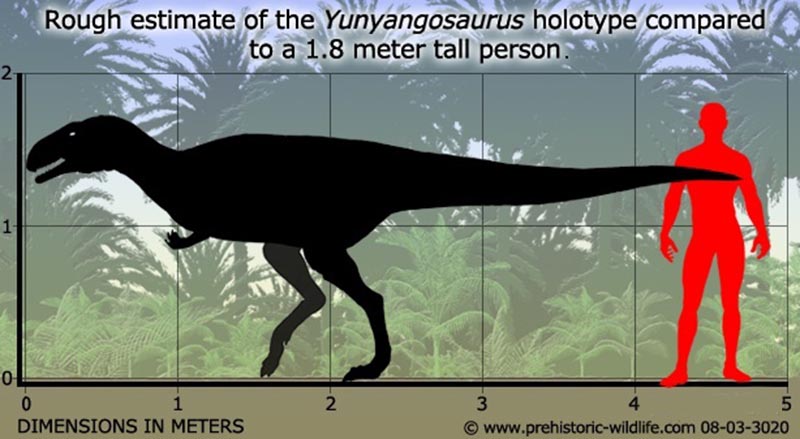 ΰ�ײ�����