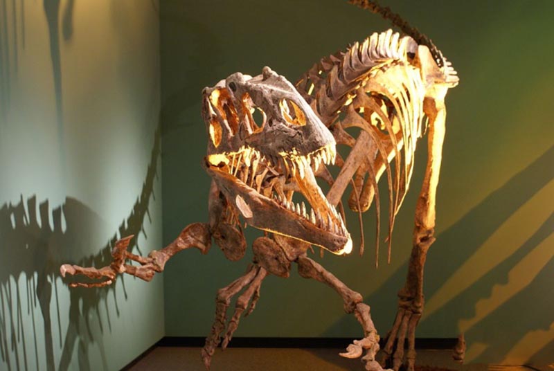 ΰ�ײ�����