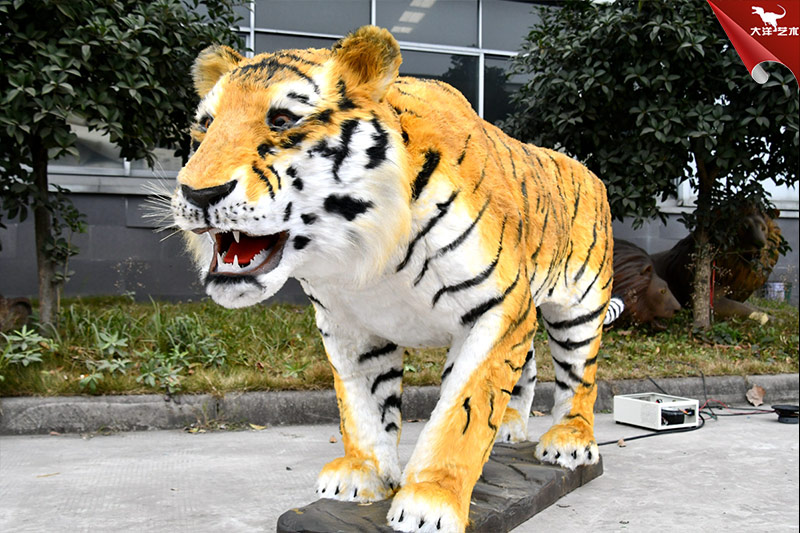 �ϻ�����ģ�� ���涯�ﶨ�� �����ϻ�