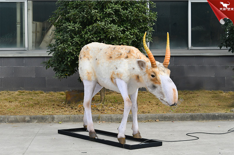 ��������ģ�� �߱�����ģ��