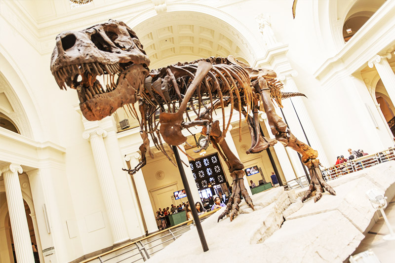 �����������Ǽ�