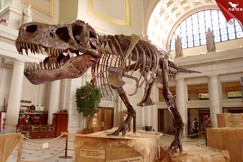 �����������Ǽ�