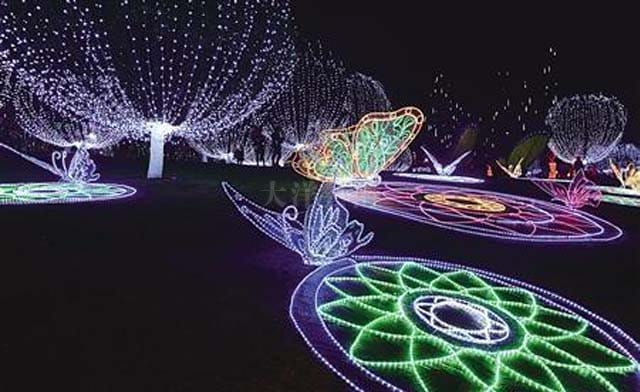 ��ľ����