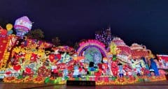 ս���ഺ�����Թ��ƻ�ʵ�ר�Ľ������߹���