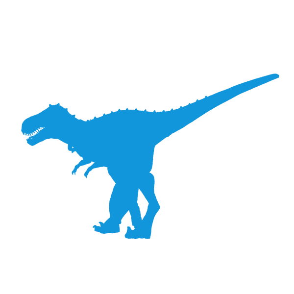 �����ݳ���