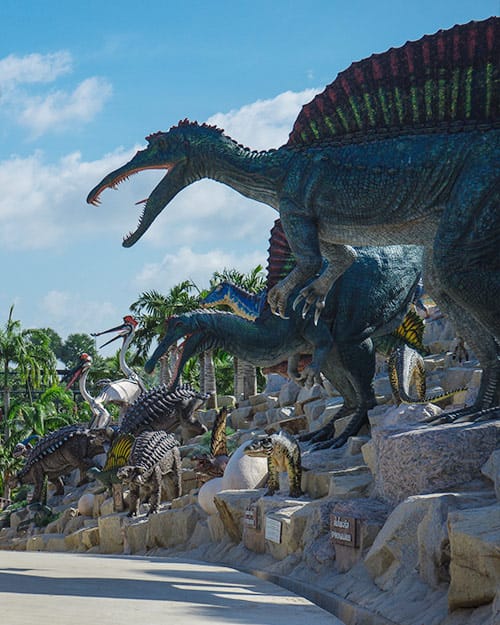 �������