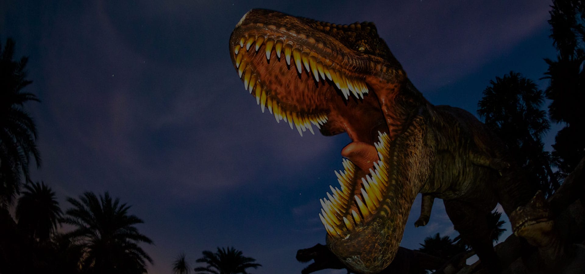 ��ϵΰ�ײ�(�й���)�ٷ���վ-�����ǳ�Ϊ��ֿ������ͬ��