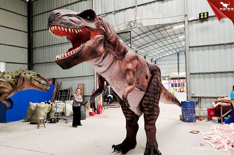 ������Ƥ�� �˴������ݳ���