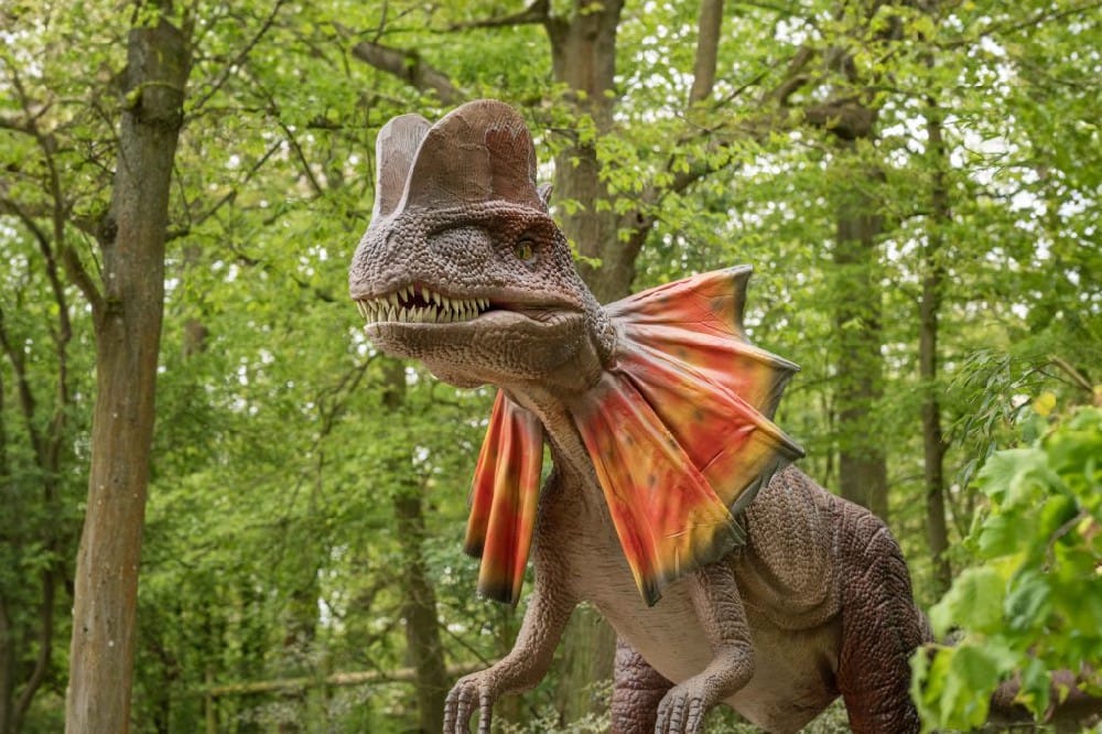 ΰ�ײ�����